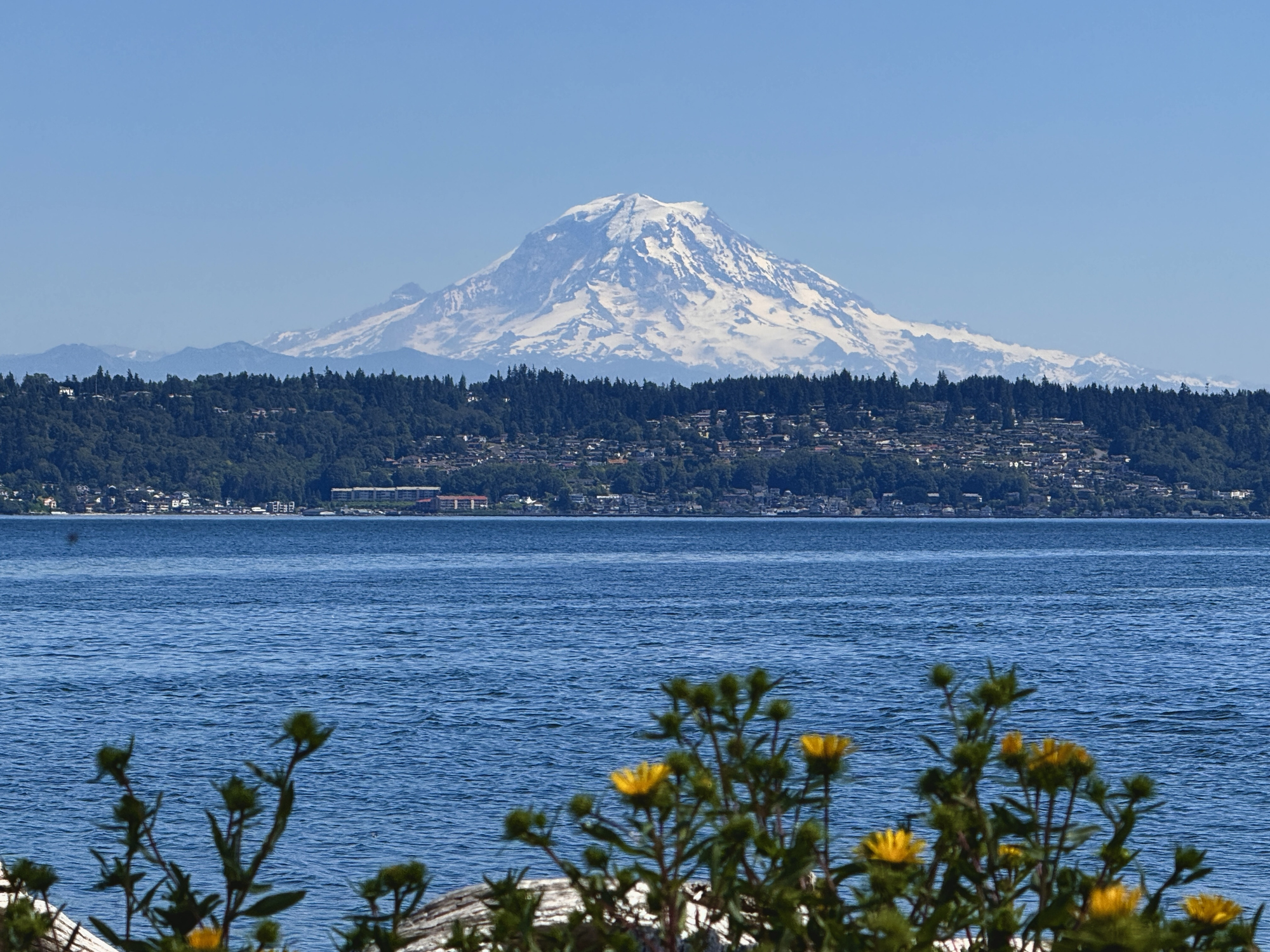 mt rainier